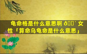 龟命格是什么意思啊 🌴 女性「算命乌龟命是什么意思」